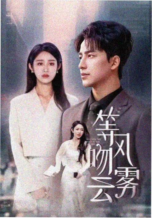 雾港追凶 悬疑刑侦热播电视剧全集免费观看